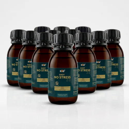 KWB Zestaw 12 No Stress 2.0 SHOT