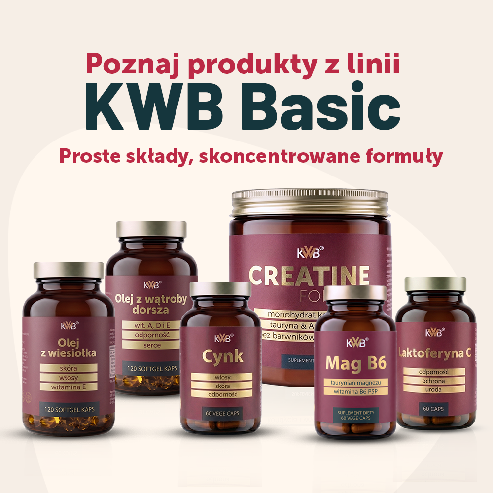 KWB Basic